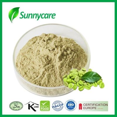 Water Souble Animal Nutrition Ingredients Chlorogenic Acid Green Coffee Bean Extract