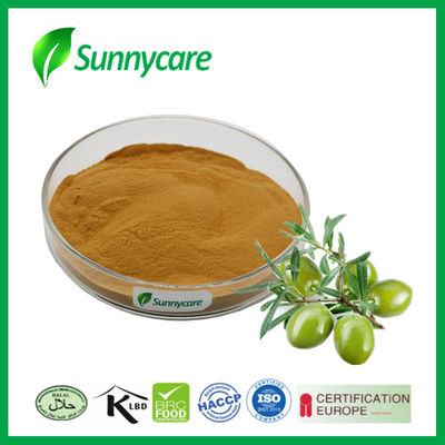 Oleuropein 40% 70% Cosmetic Raw Materials CAS 32619-42-4 Olive Leaf Extract Powder