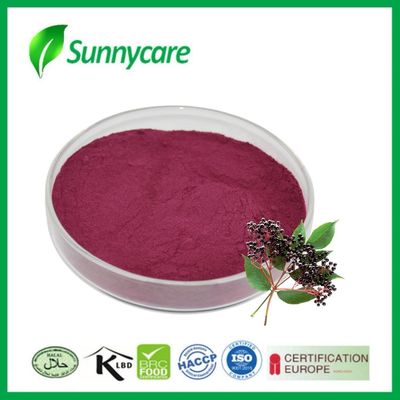 Extracto de sumo de louro em pó Sambucus nigra Corante natural para alimentos e bebidas