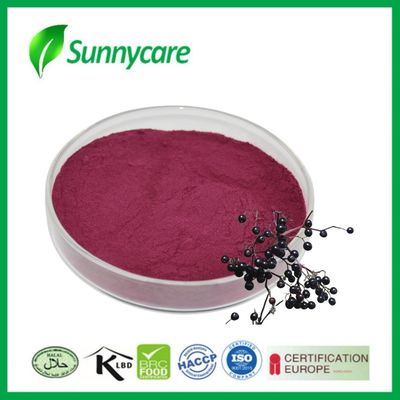 Extracto de Louro Preto em pó de Sambucus nigra para imunidade e vitalidade