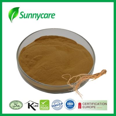 Extracto de Dong Quai em pó Angelica sinensis Equilíbrio hormonal Suplementos alimentares
